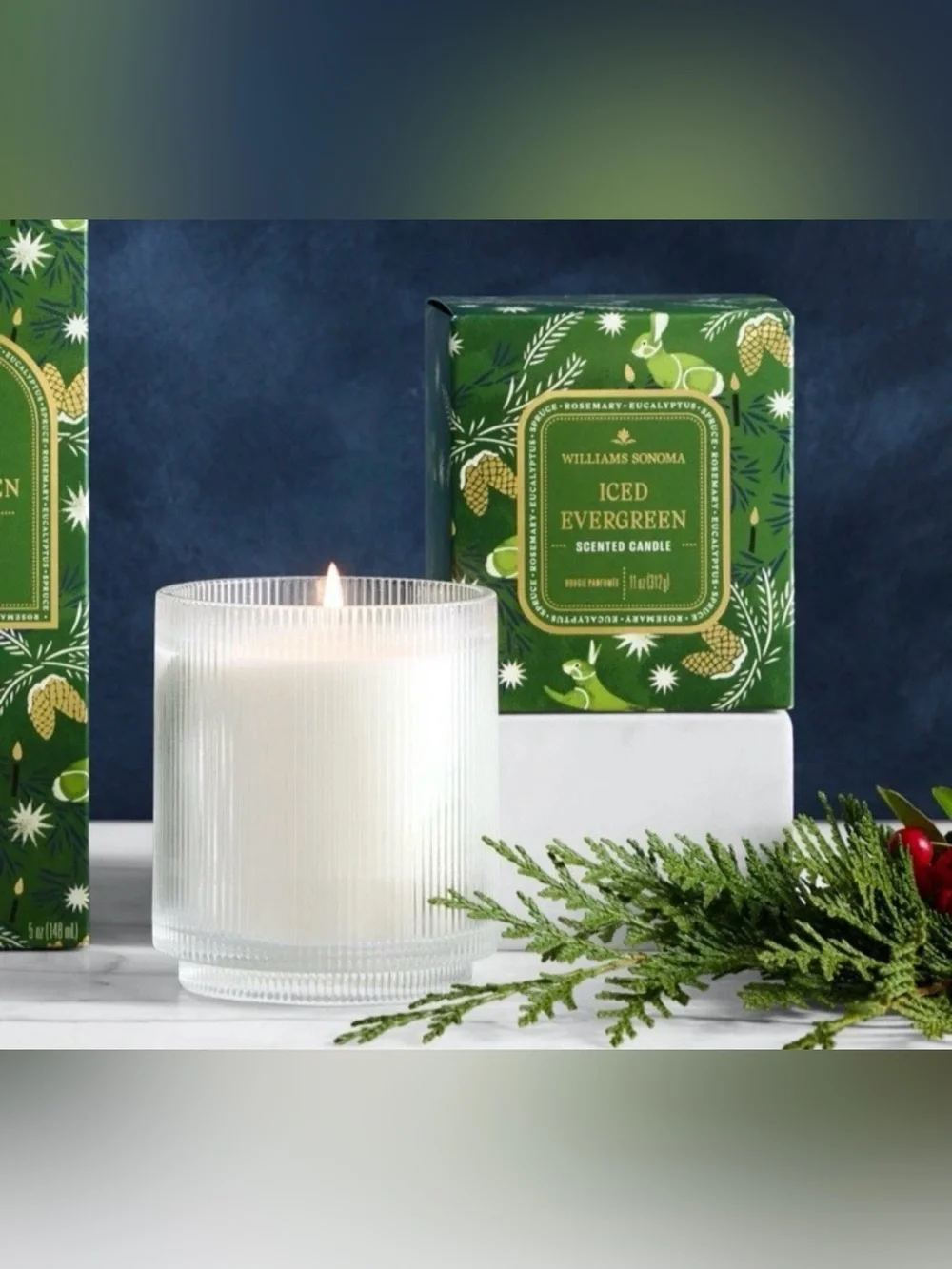 Williams Sonoma ICED EVERGREEN Scented Candle ~ 11 oz.